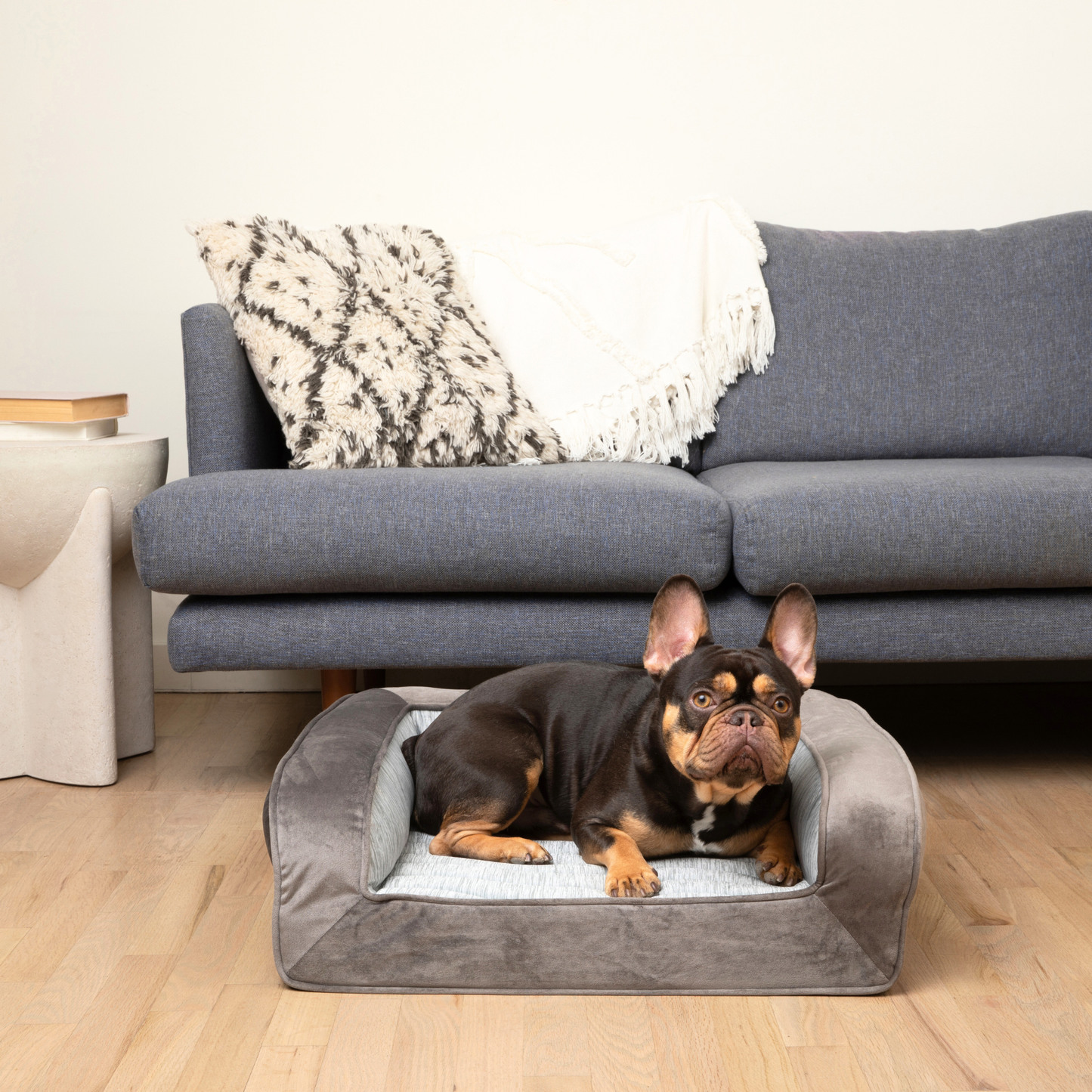 PupChill™ Refroidissante Coussin de Repos pour Chiens