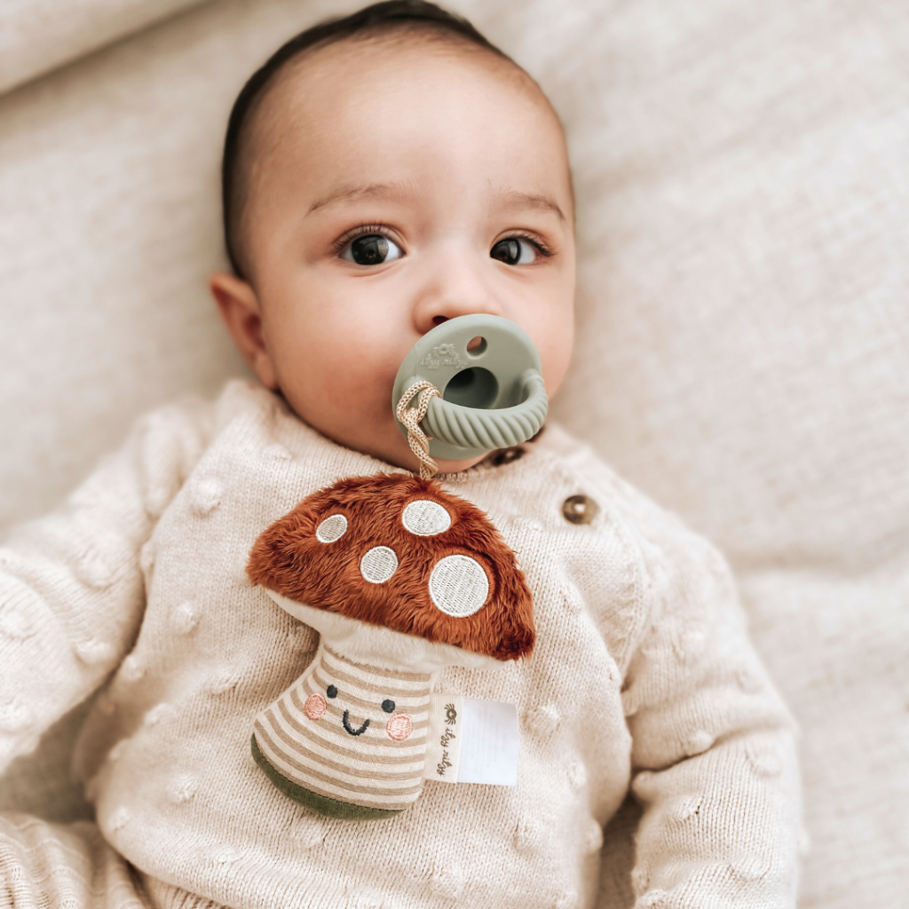 Sweetie Pal™ - adorable pacifier and plush toy walker