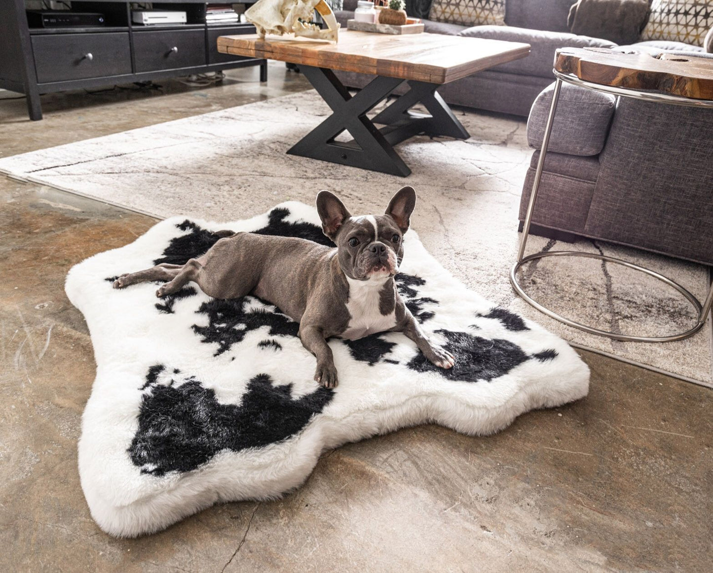 PupRug® Luxueuse Banquette en Mousse à Mémoire avec Imprimé Animal - Tissu Faux Vache Noire