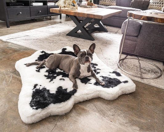 PupRug® Luxueuse Banquette en Mousse à Mémoire avec Imprimé Animal - Tissu Faux Vache Noire