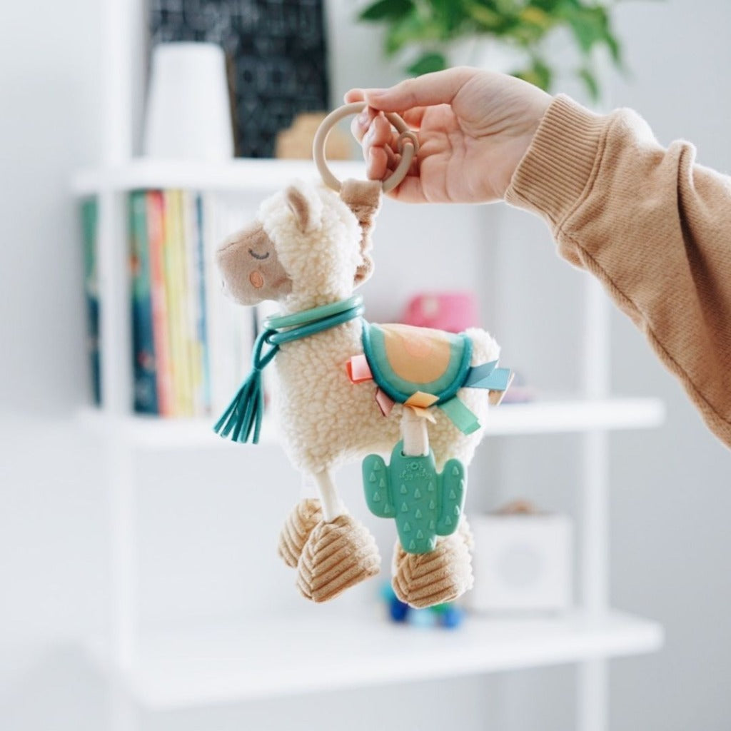 Link & Love™ ©Educational and Playful Tooth Toy