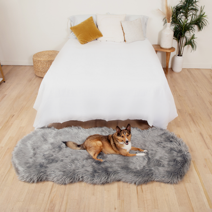 PupRug® Runner Douillette en Fausse Fourrure et Mousse à Mémoire pour Chien - Gris Charbon