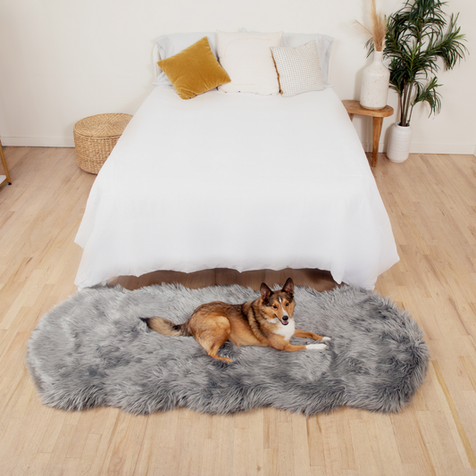 PupRug® Runner Douillette en Fausse Fourrure et Mousse à Mémoire pour Chien - Gris Charbon