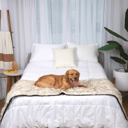 PupProtector™ Waterproof Bed Runner – Elegant White Design with Stylish Brown Accents for Ultimate Protection