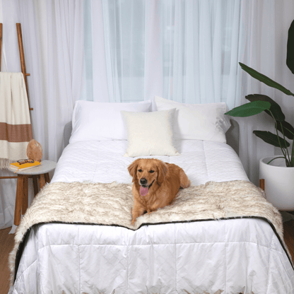 PupProtector™ Waterproof Bed Runner – Elegant White Design with Stylish Brown Accents for Ultimate Protection