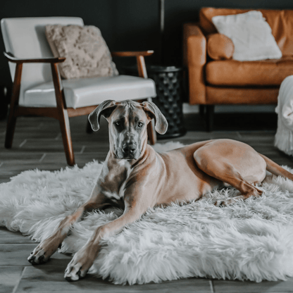 PupRug® Tierische Muster Memory-Schaum Hundebett - Polar Bear Faux Hide Für Ultimalen Komfort