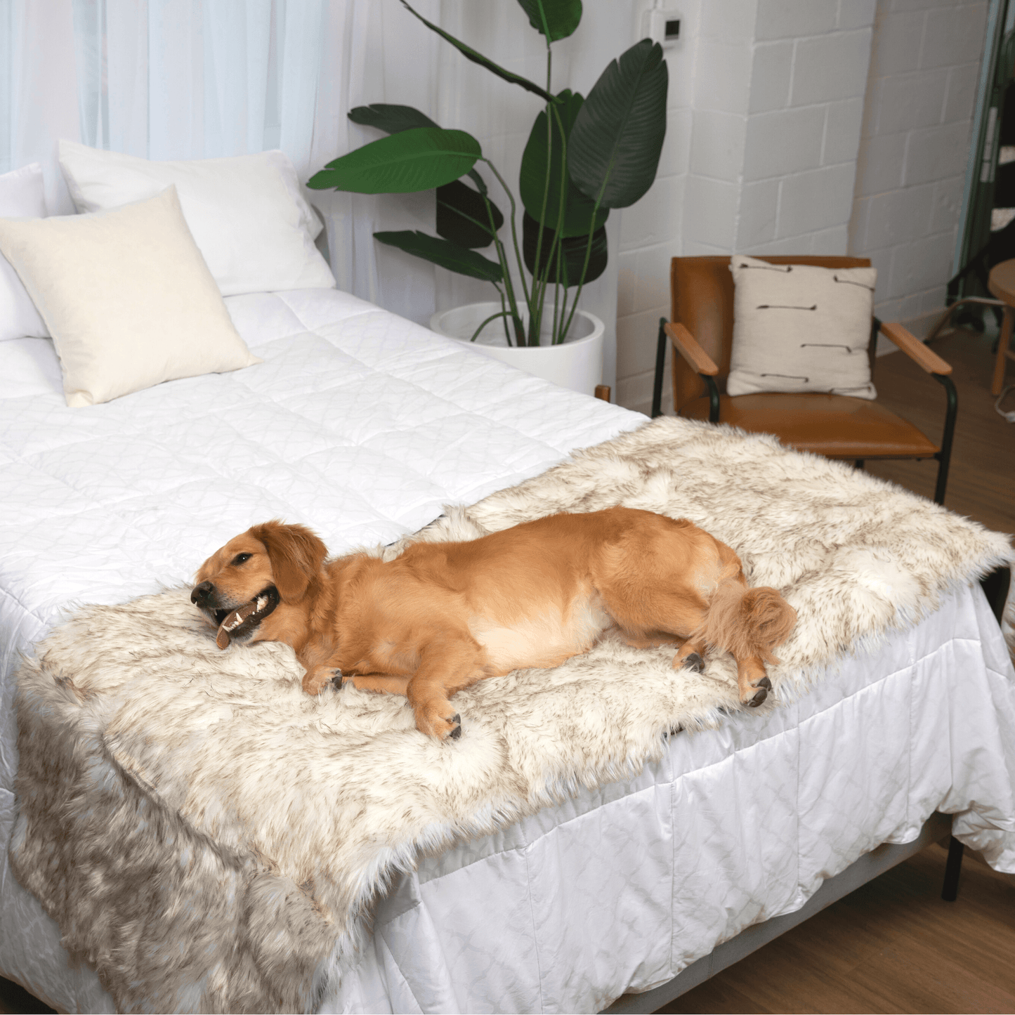 PupProtector™ Waterproof Bed Runner – Elegant White Design with Stylish Brown Accents for Ultimate Protection