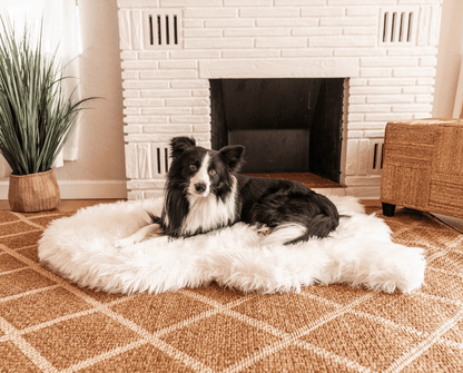 PupRug by Paw.com® - Luxe Faux Fur Orthopedic Dog Bed with Elegant Curve in Polar White