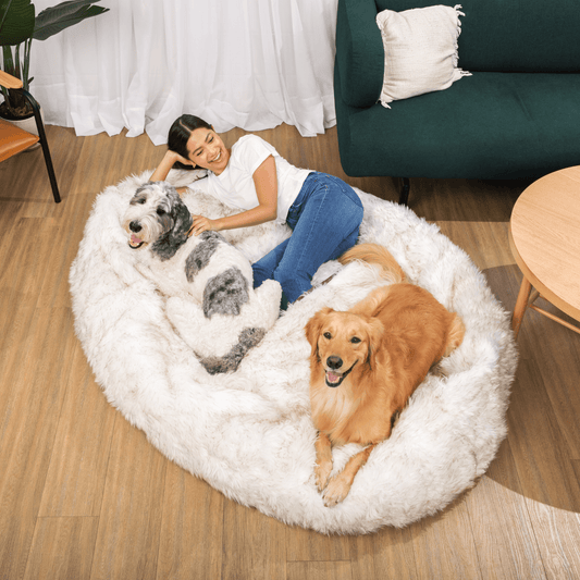 PupCloud™ Großer Faux Fur Memory Foam Hundebett – Weiß mit Braunen Akzenten für ultimativen Komfort