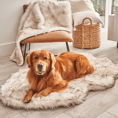 PupRug by Paw.com® Luxueuse Plaid Orthopédique en Faux Furet - Courbe Blanche avec Détails Marron