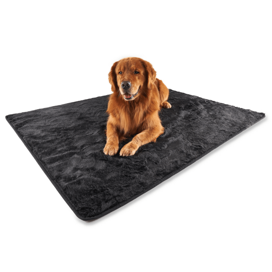 PupProtector™ Velluto Corto Impermeabile e Morbido - Coverlet Notturno Nero