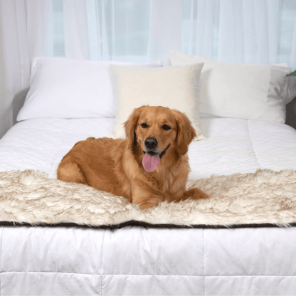 PupProtector™ Waterproof Bed Runner – Elegant White Design with Stylish Brown Accents for Ultimate Protection