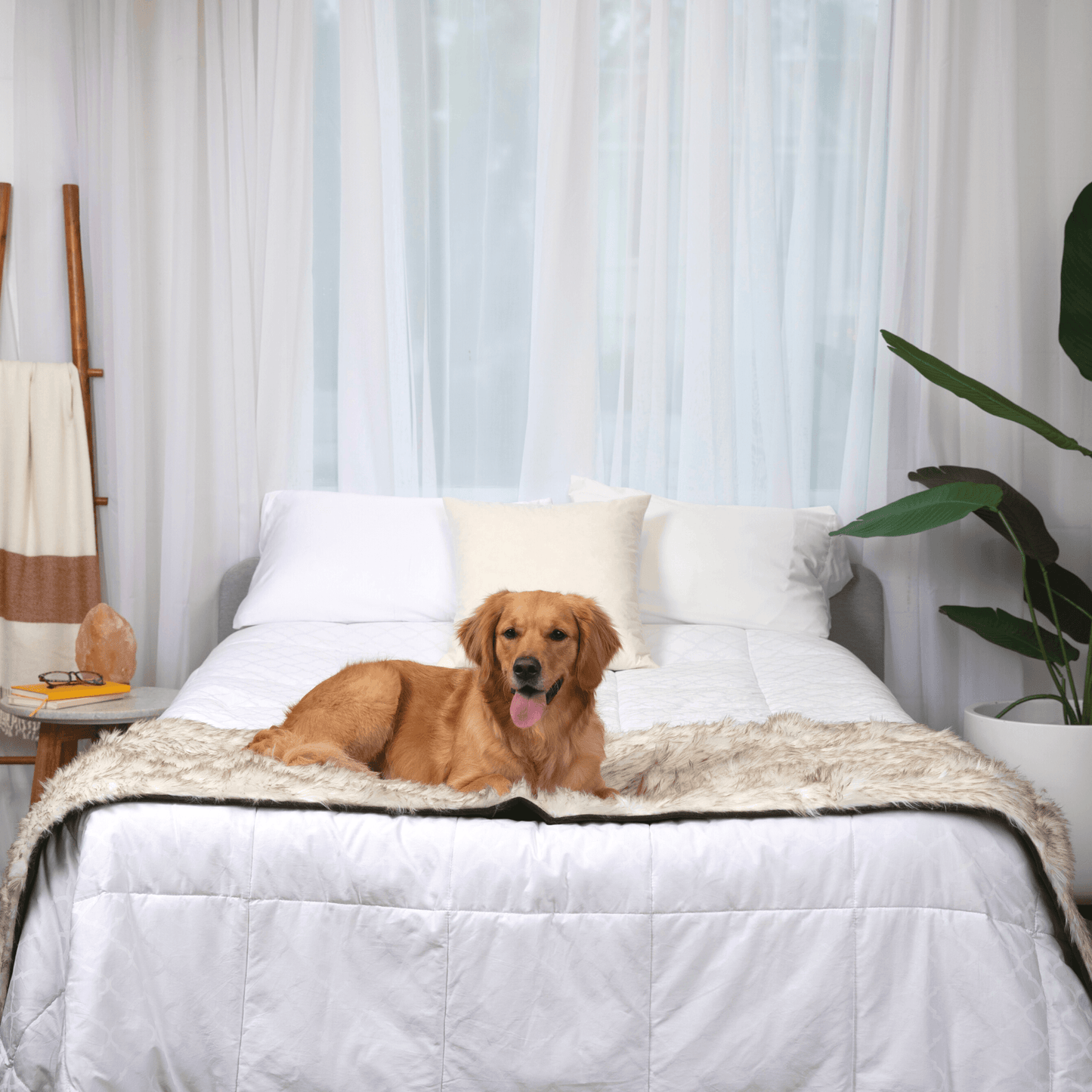 PupProtector™ Waterproof Bed Runner – Elegant White Design with Stylish Brown Accents for Ultimate Protection