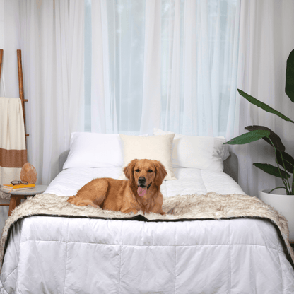 PupProtector™ Waterproof Bed Runner – Elegant White Design with Stylish Brown Accents for Ultimate Protection