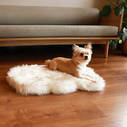 PupRug by Paw.com® Luxueuse Plaid Orthopédique en Faux Furet - Courbe Blanche avec Détails Marron