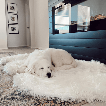 PupRug by Paw.com® - Luxe Faux Fur Orthopedic Dog Bed with Elegant Curve in Polar White