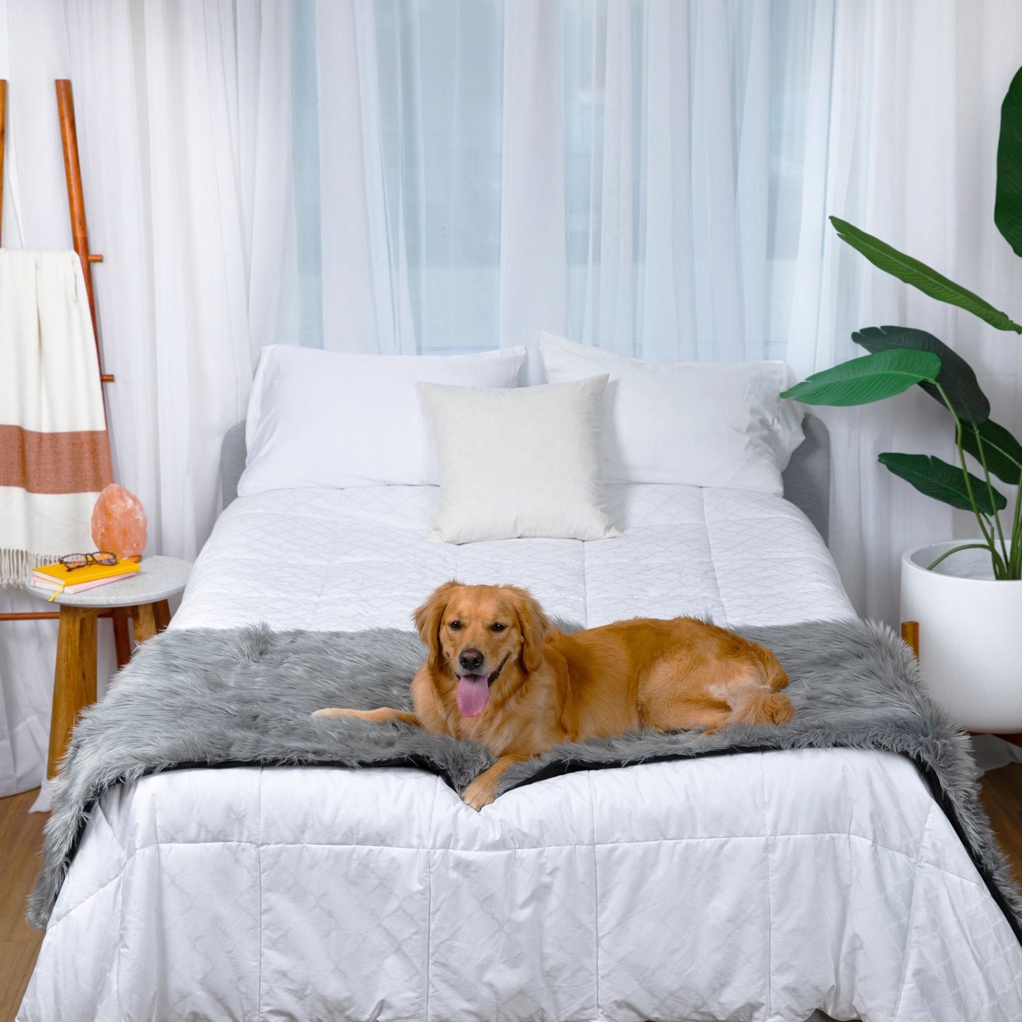 PupProtector™ Wasserdichter Bettrunner – Anthrazit Grau