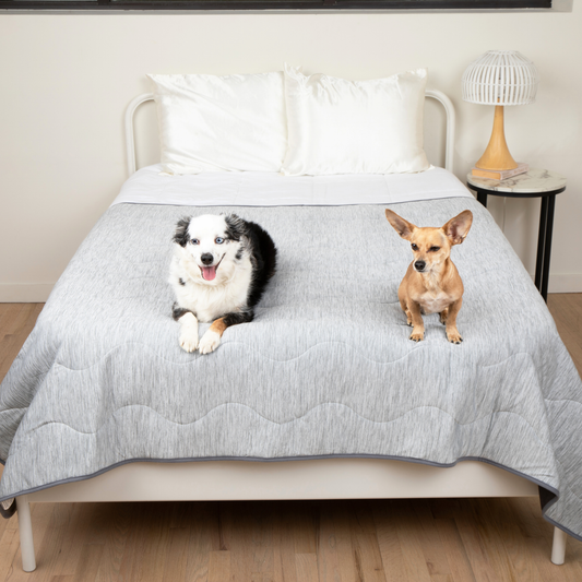 PupChill™ Arctic Grey Waterproof Cooling Blanket for Comfort and Protection