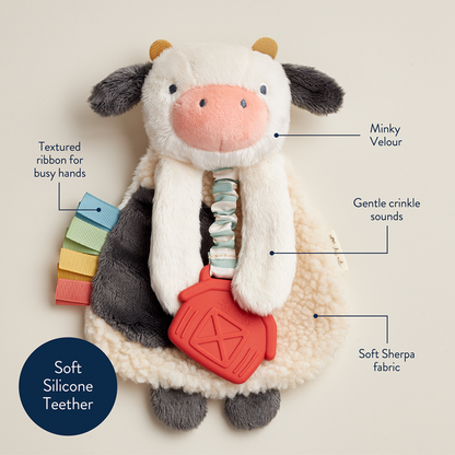Itzy Lovey™ Plush Toy and Teething Toy for Babies