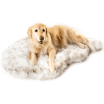 PupRug by Paw.com® Luxueuse Plaid Orthopédique en Faux Furet - Courbe Blanche avec Détails Marron
