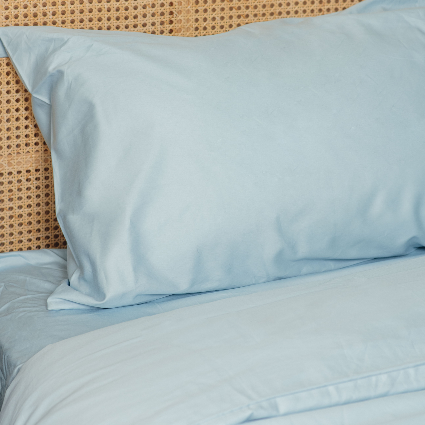 PupSheets™ Kühlendes, antibakterielles und haarresistentes Bettwäsche-Set mit Decke und Kissenbezug - Himmelblau