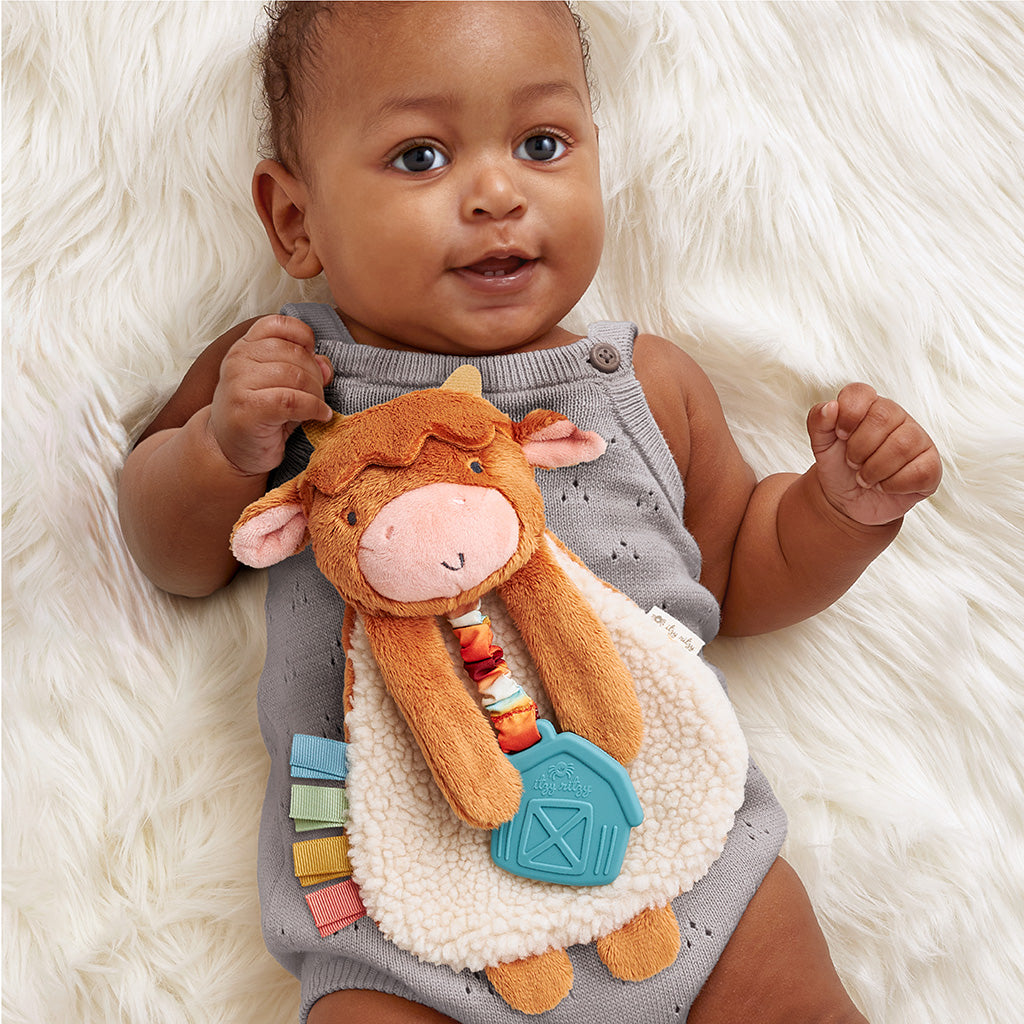Itzy Lovey™ Plush Toy and Teething Toy for Babies