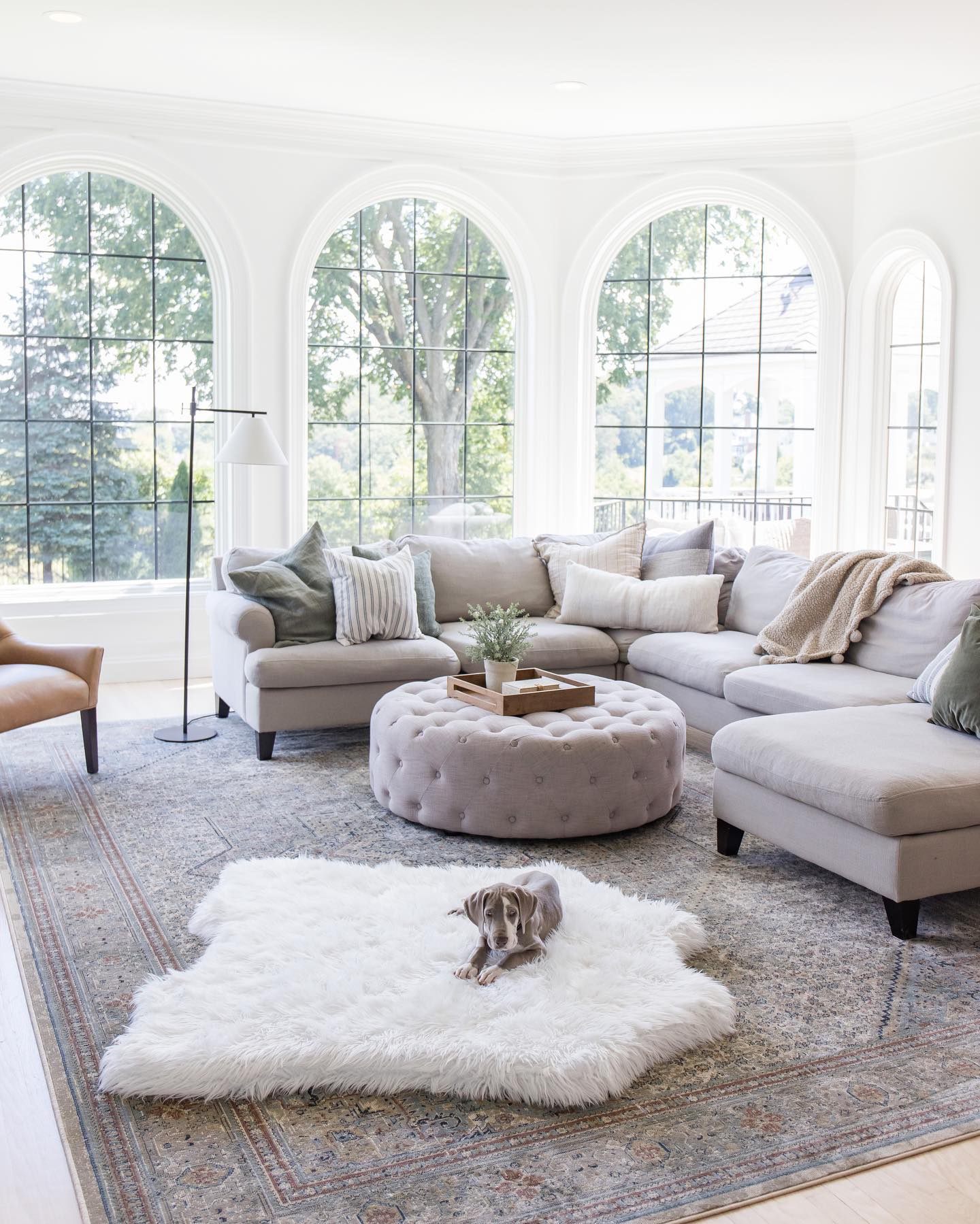 PupRug® Tierische Muster Memory-Schaum Hundebett - Polar Bear Faux Hide Für Ultimalen Komfort