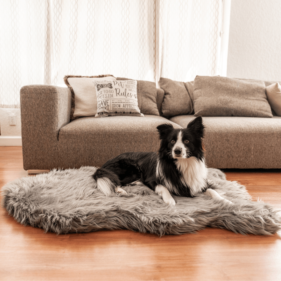 PupRug by Paw.com® Komfortables Faux-Fell Orthopädisches Hundebett – Elegantes Kurven-Design in Anthrazitgrau