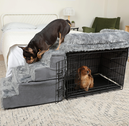 Ensemble de Couchage et Escaliers pour Chien - Lit de Chevet, Cage et Kit de Facilité d'Accès