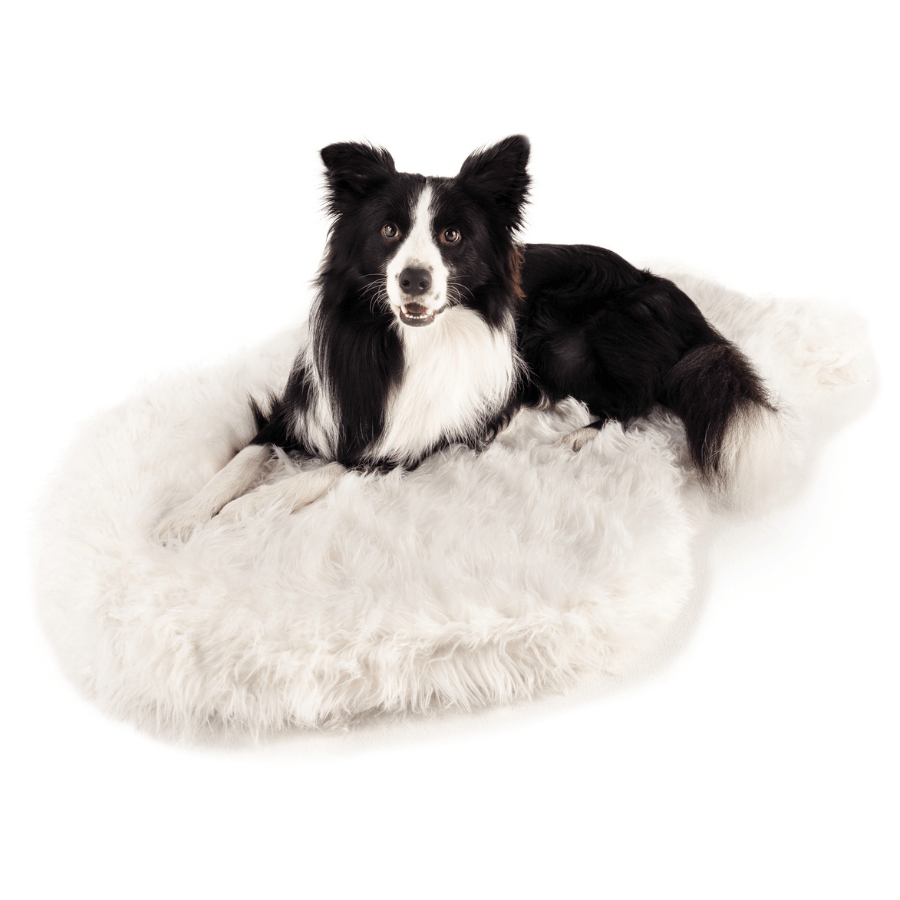 PupRug by Paw.com® - Luxe Faux Fur Orthopedic Dog Bed with Elegant Curve in Polar White