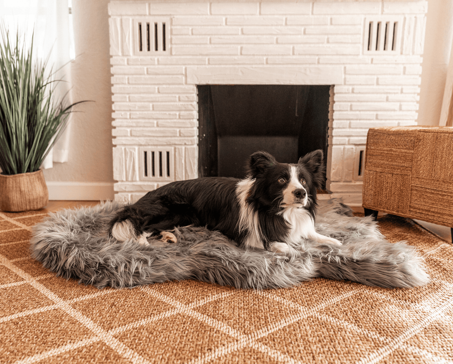 PupRug by Paw.com® Komfortables Faux-Fell Orthopädisches Hundebett – Elegantes Kurven-Design in Anthrazitgrau
