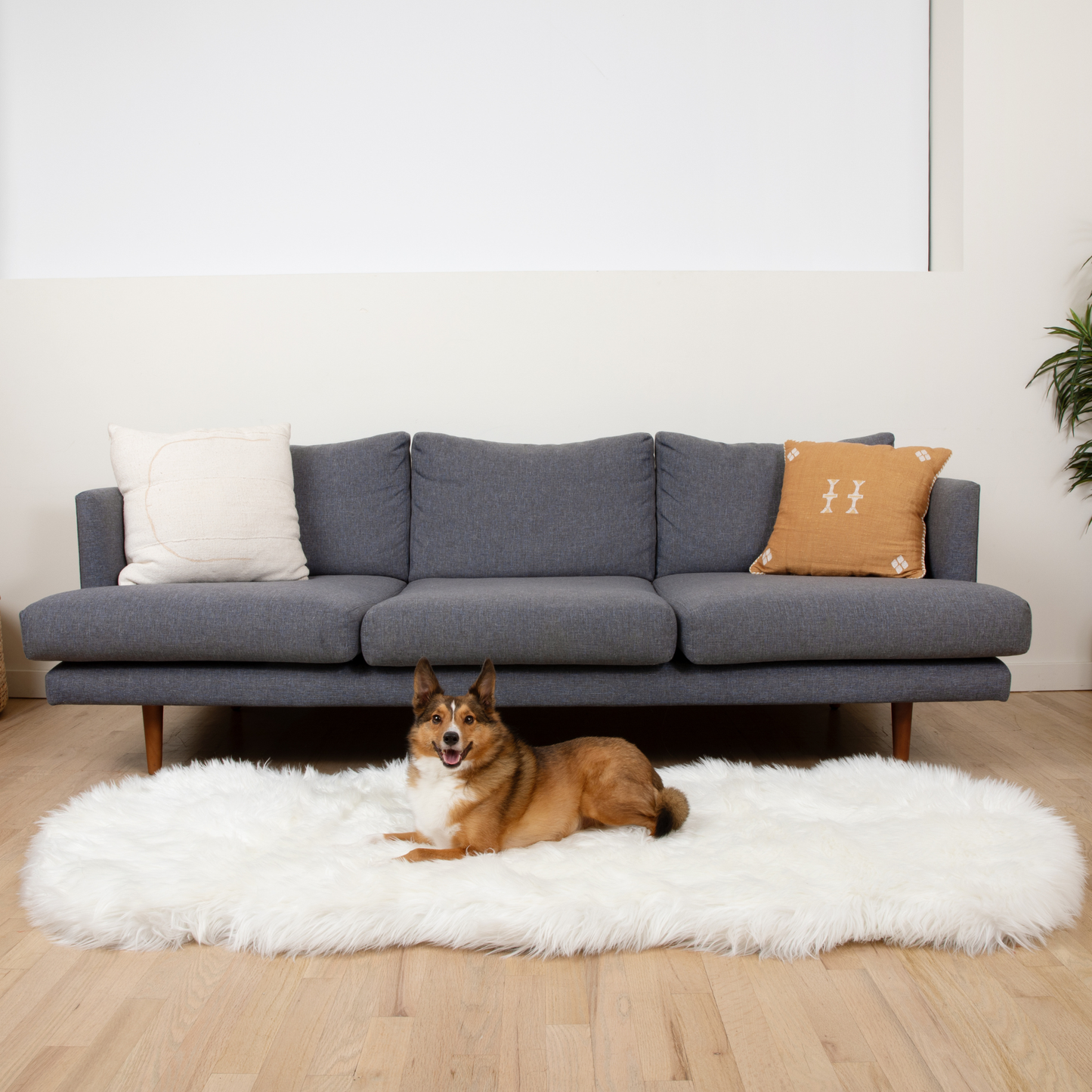 PupRug® Runner 犬用豪华仿毛记忆泡沫床 — 流线型极地白