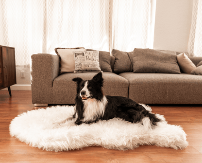 PupRug by Paw.com® - Luxe Faux Fur Orthopedic Dog Bed with Elegant Curve in Polar White