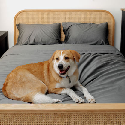 PupSheets™ Kühlendes, antibakterielles und haarresistentes Bettwäsche-Set mit Steppdecke und Kissenbezug – Graphit