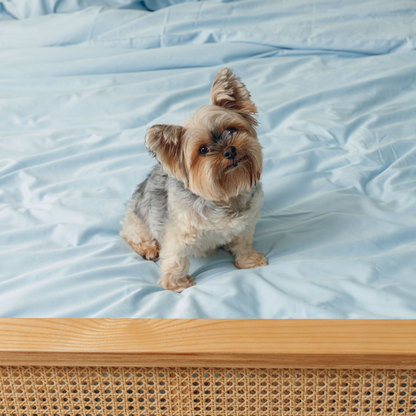 PupSheets™ Kühlendes, antibakterielles und haarresistentes Bettwäsche-Set mit Decke und Kissenbezug - Himmelblau