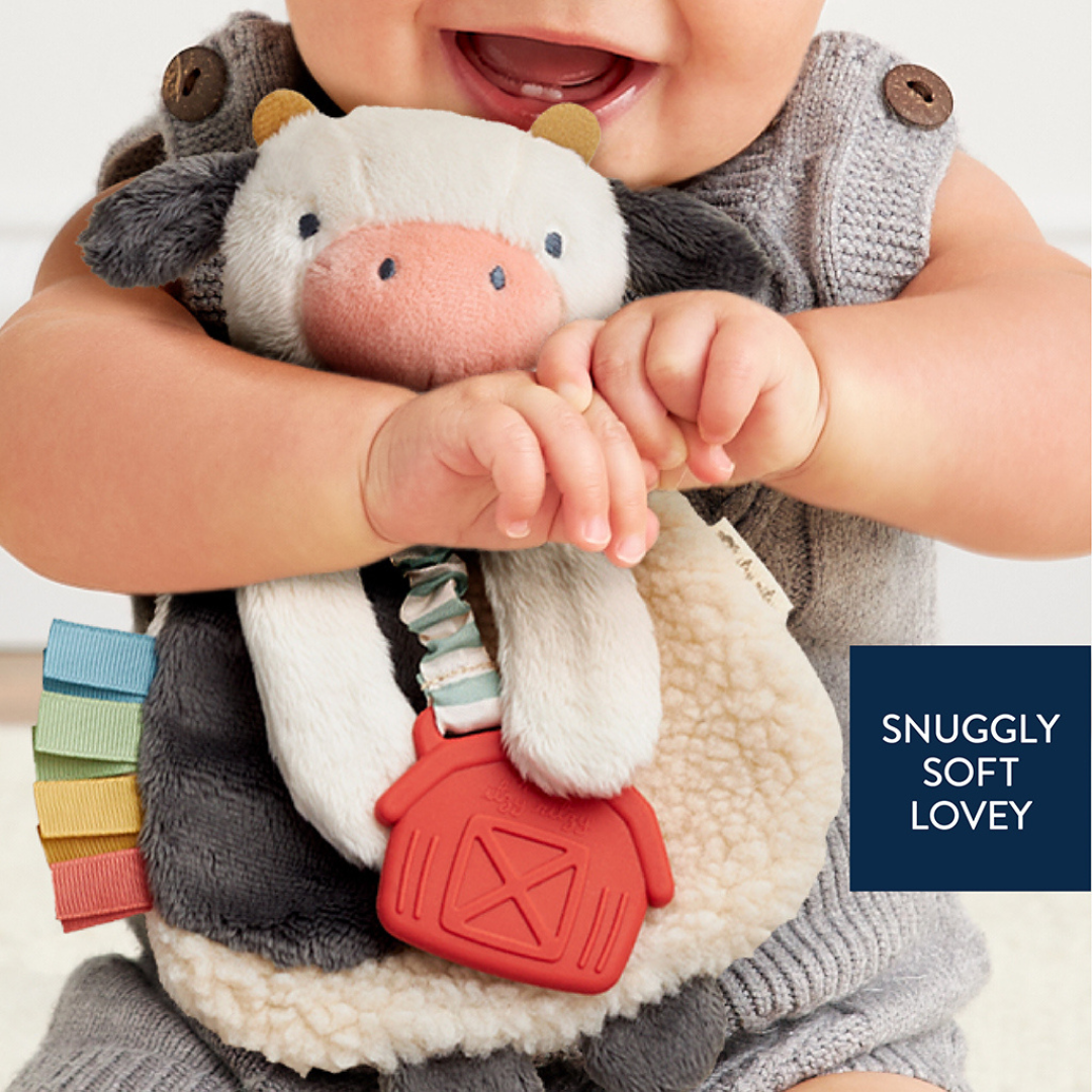 Itzy Lovey™ Plush Toy and Teething Toy for Babies