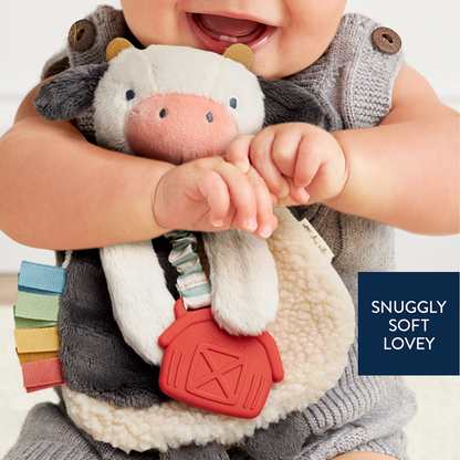 Itzy Lovey™ Plush Toy and Teething Toy for Babies