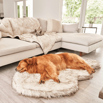 PupRug by Paw.com® Luxueuse Plaid Orthopédique en Faux Furet - Courbe Blanche avec Détails Marron