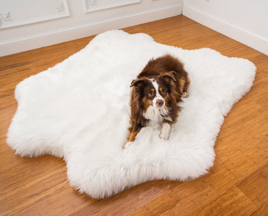 PupRug® Tierische Muster Memory-Schaum Hundebett - Polar Bear Faux Hide Für Ultimalen Komfort