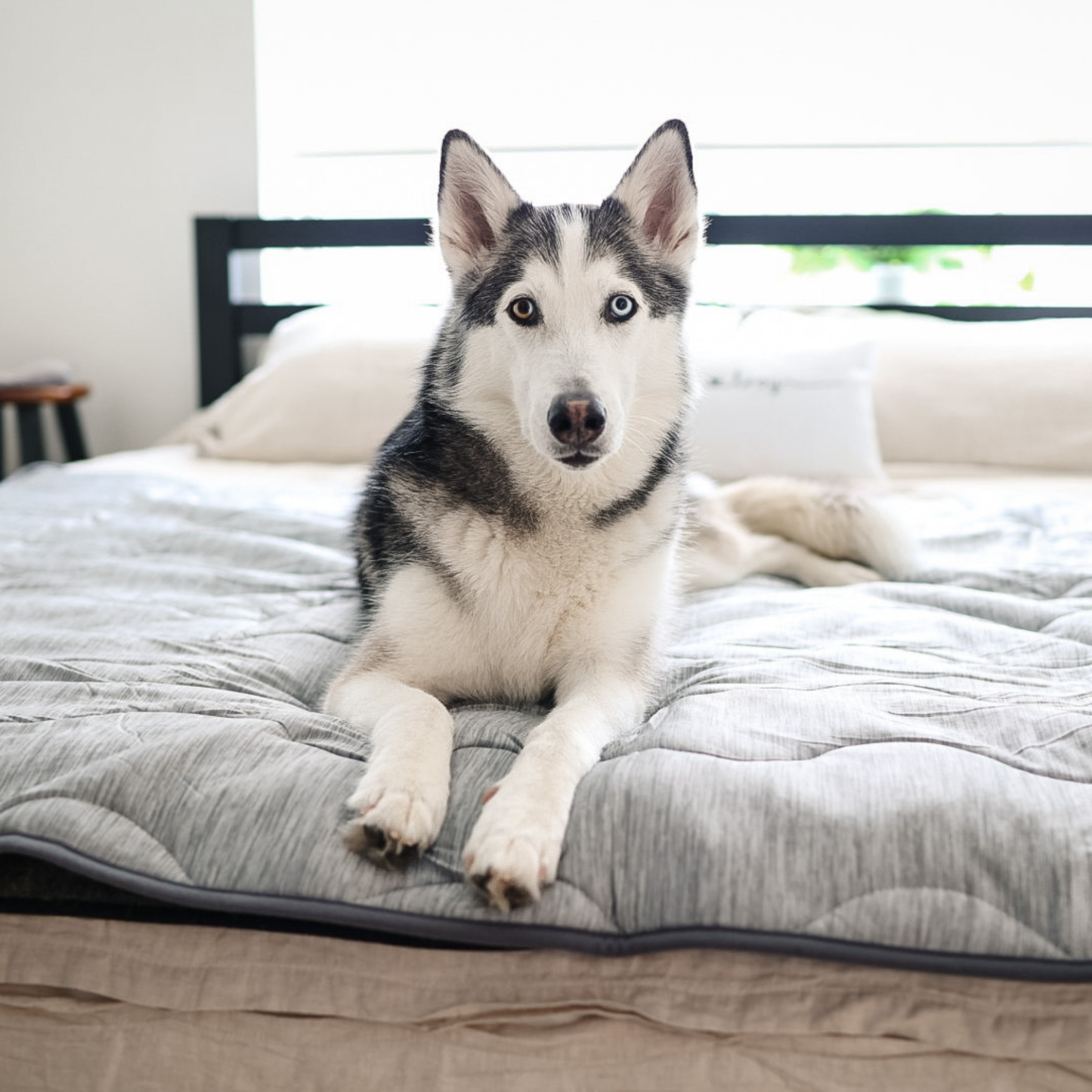 PupChill™ Arctic Grey Waterproof Cooling Blanket for Comfort and Protection