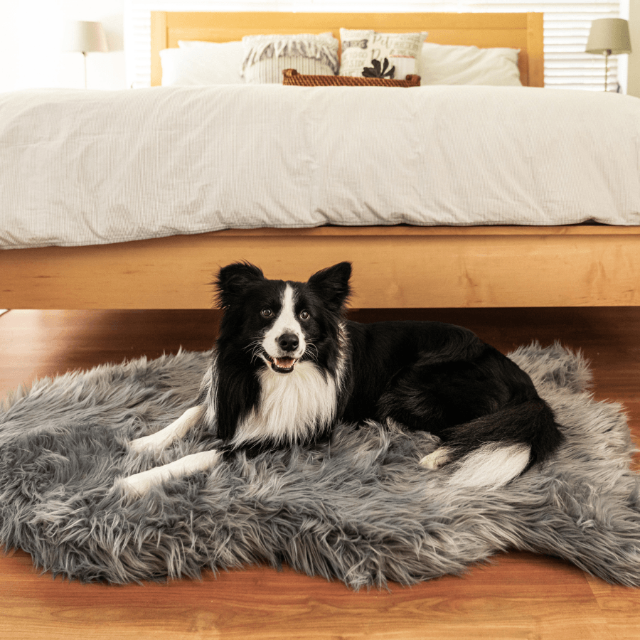PupRug by Paw.com® Komfortables Faux-Fell Orthopädisches Hundebett – Elegantes Kurven-Design in Anthrazitgrau