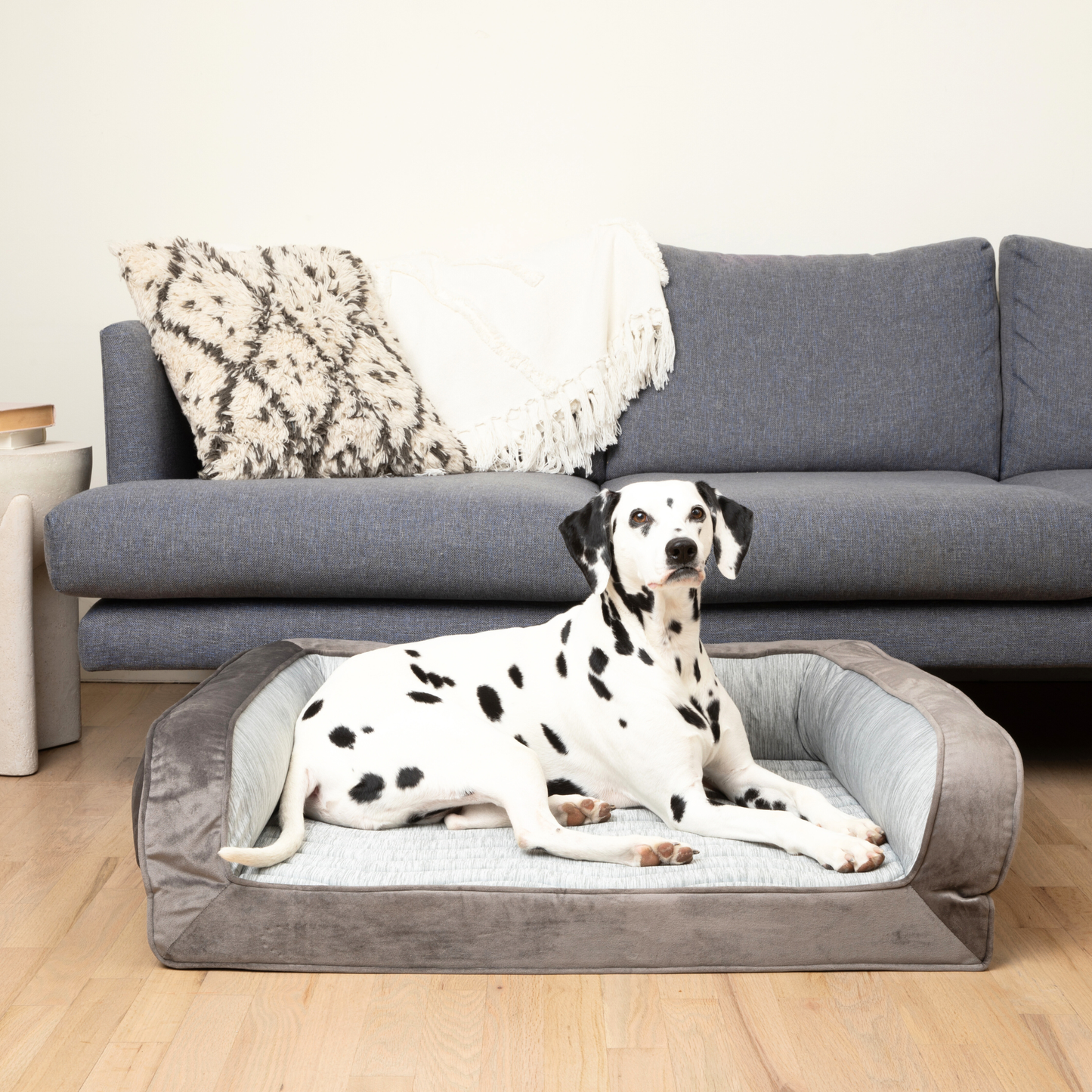 PupChill™ Refroidissante Coussin de Repos pour Chiens