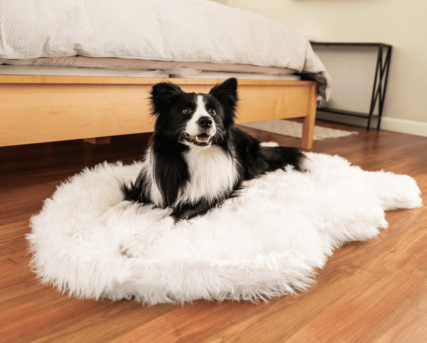 PupRug by Paw.com® - Luxe Faux Fur Orthopedic Dog Bed with Elegant Curve in Polar White