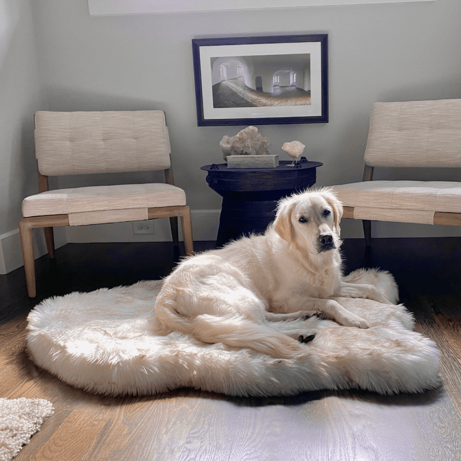 PupRug by Paw.com® Luxueuse Plaid Orthopédique en Faux Furet - Courbe Blanche avec Détails Marron