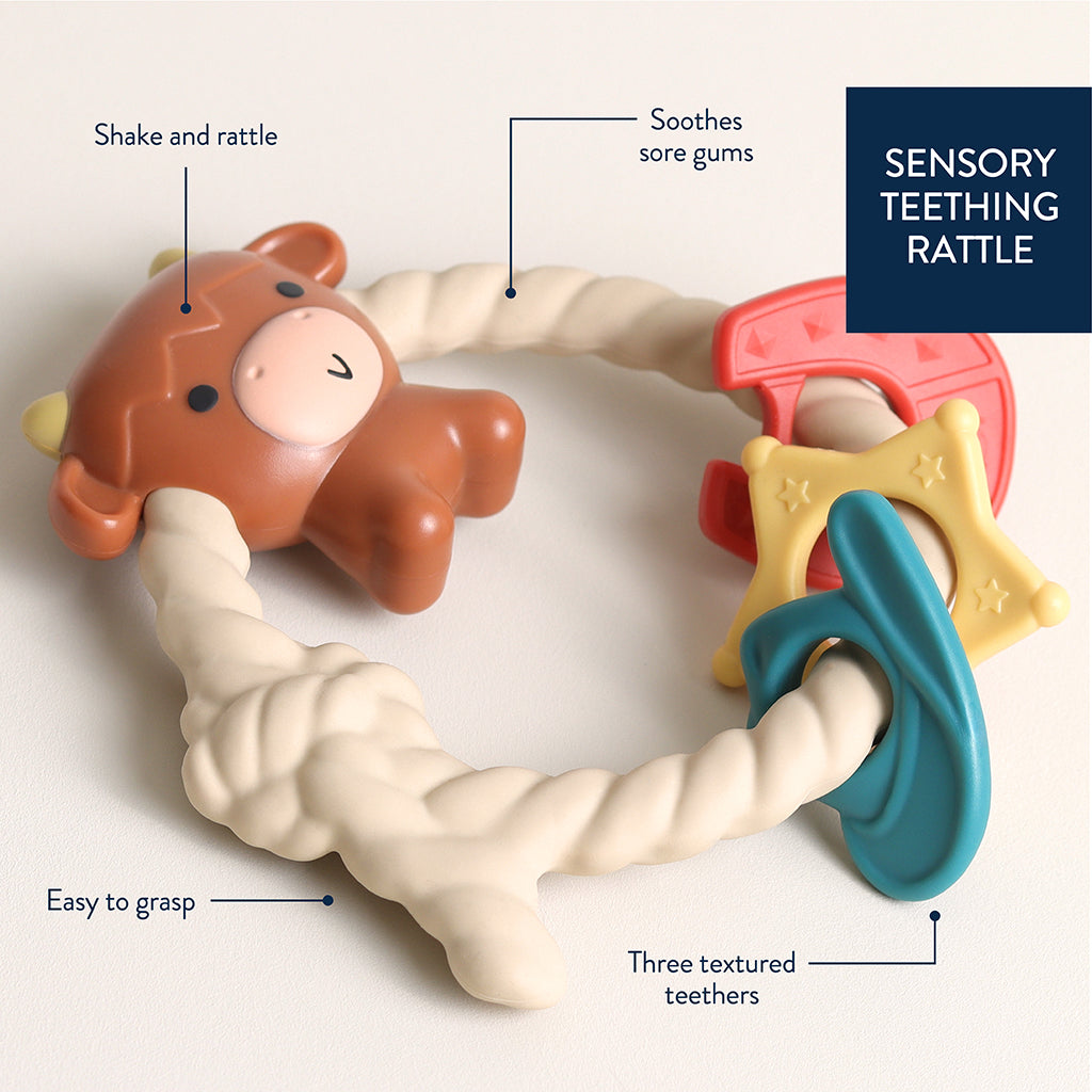 Ritzy Rattle® with Teething Rings - The Perfect Toy for Fun and Teething Joy