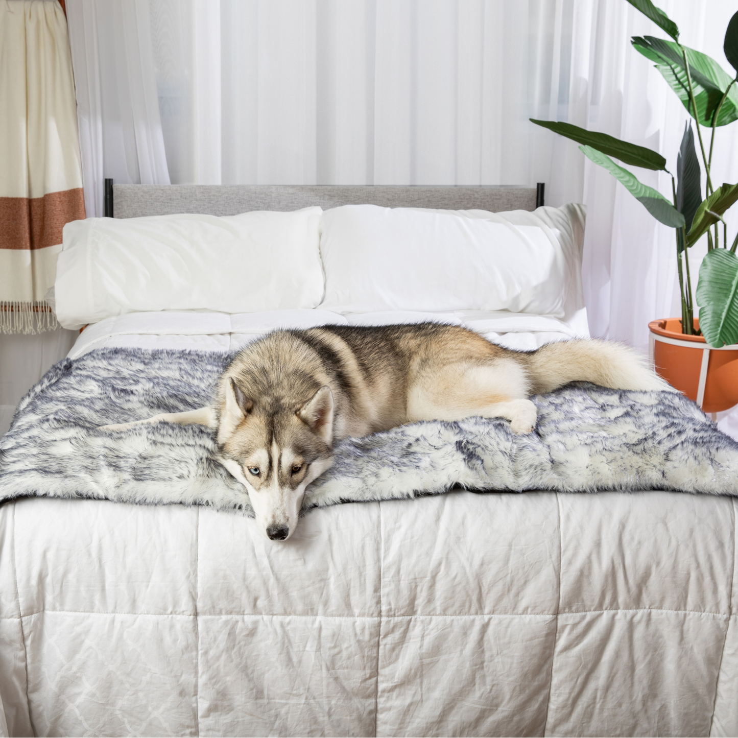 PupProtector™ Luxe Extra-Soft Waterproof Bed Runner with Arctic Fox Design