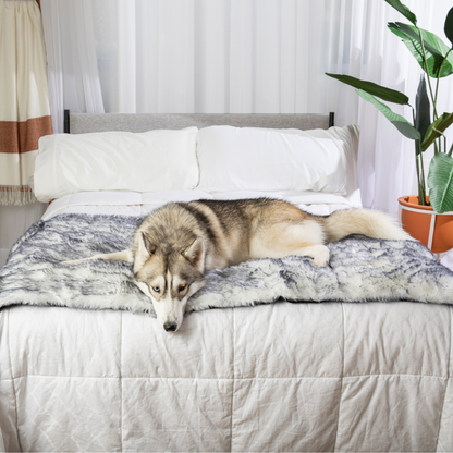 PupProtector™ Luxe Extra-Soft Waterproof Bed Runner with Arctic Fox Design