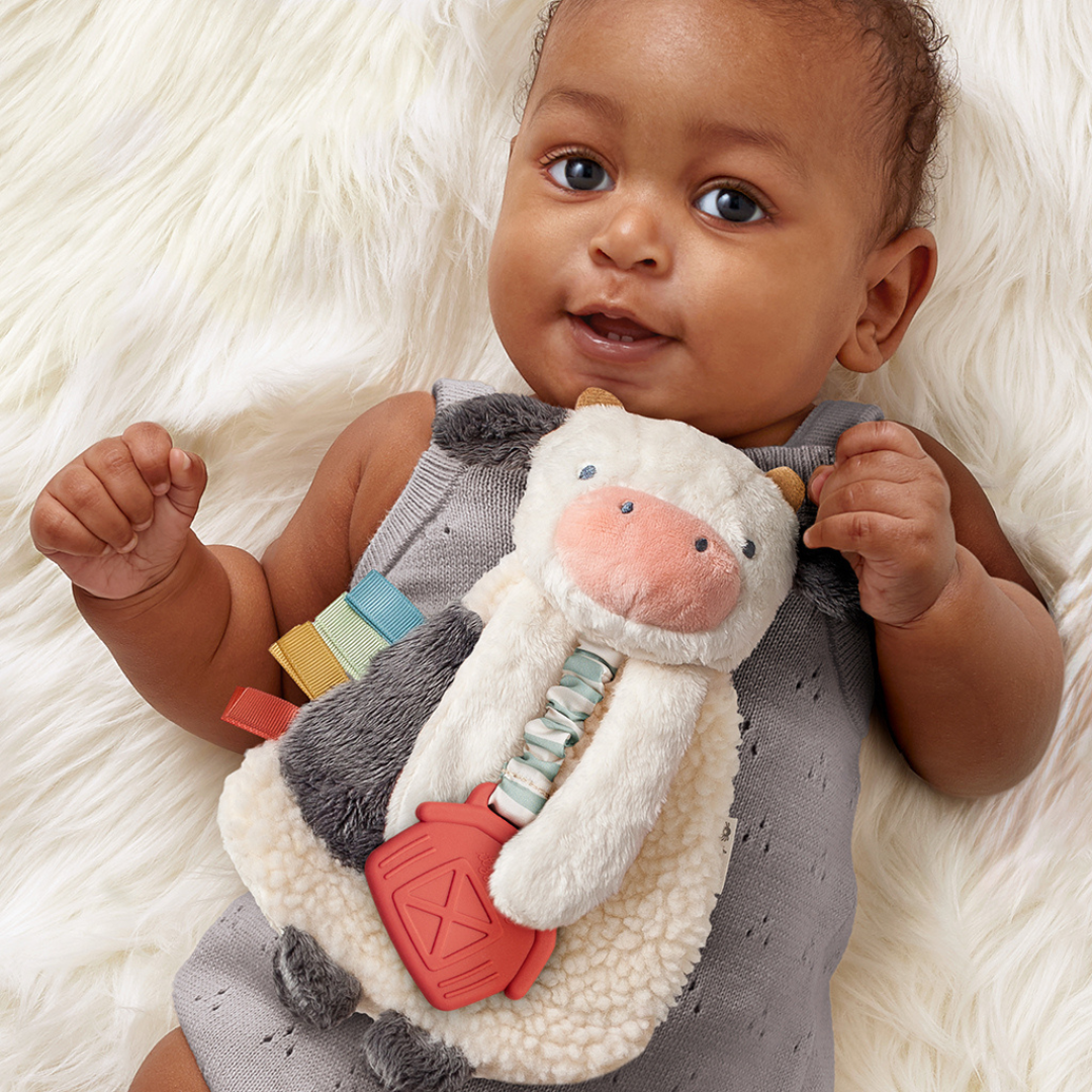 Itzy Lovey™ Plush Toy and Teething Toy for Babies