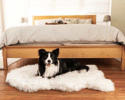 PupRug by Paw.com® - Luxe Faux Fur Orthopedic Dog Bed with Elegant Curve in Polar White