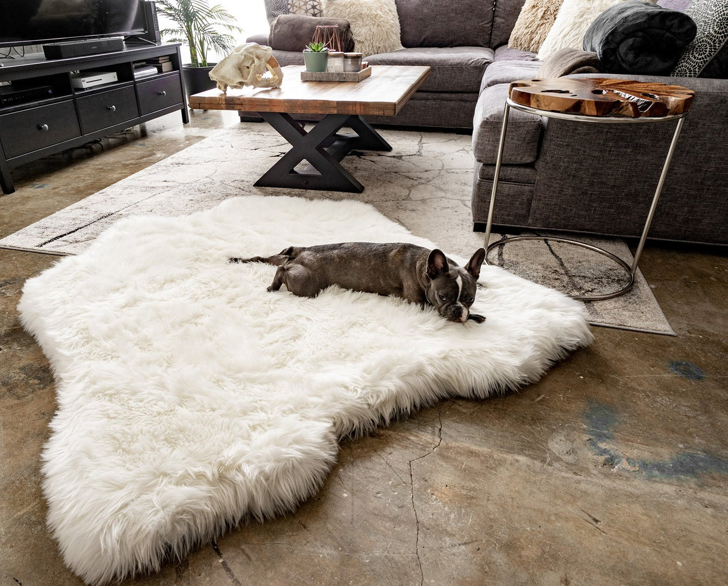 PupRug® Tierische Muster Memory-Schaum Hundebett - Polar Bear Faux Hide Für Ultimalen Komfort